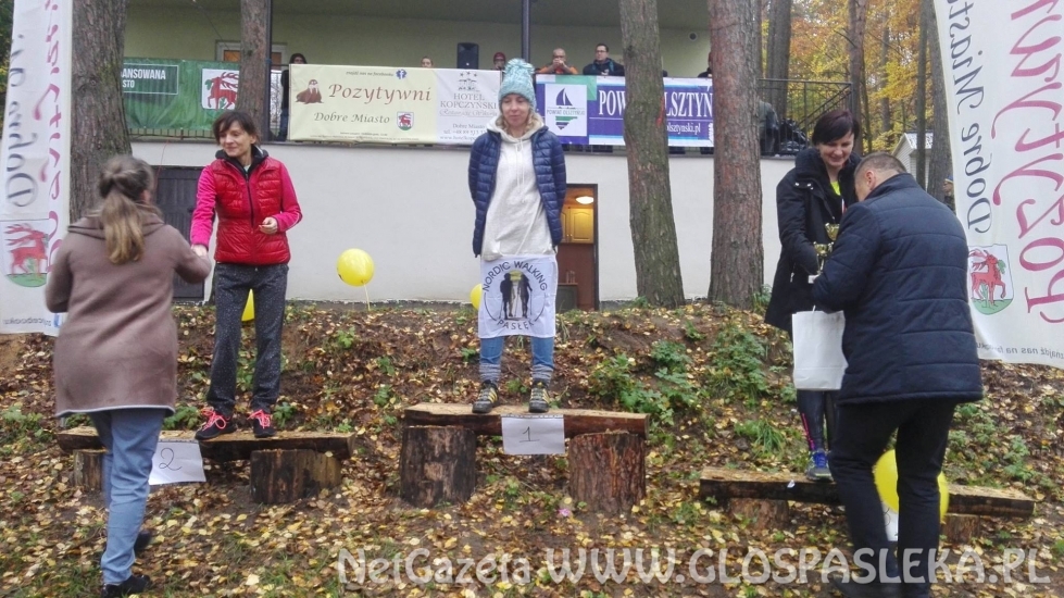 Morsy Nordic Walking 