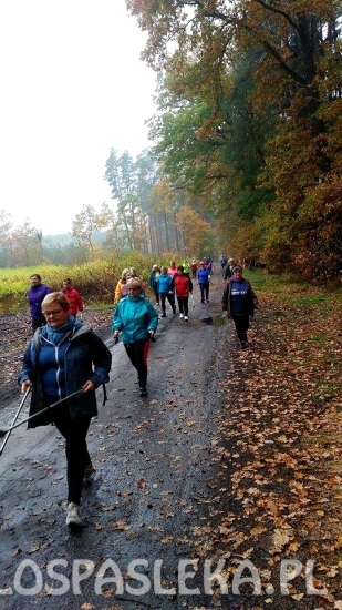 Chodziarze w Młynarach