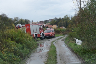 Sirwa wylewa, Wąska przybiera