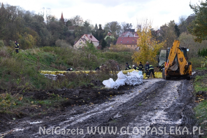 Sirwa wylewa, Wąska przybiera