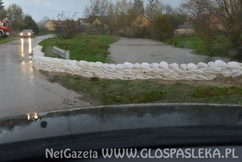 Sirwa wylewa, Wąska przybiera