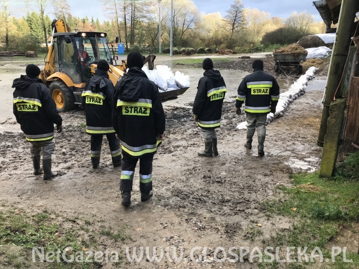 Sirwa wylewa, Wąska przybiera