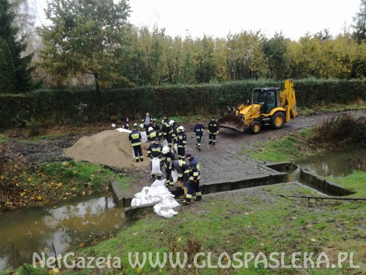 Sirwa wylewa, Wąska przybiera