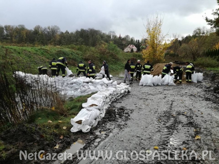 Sirwa wylewa, Wąska przybiera