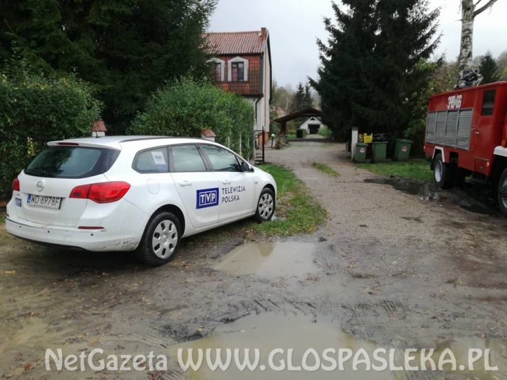 Sirwa wylewa, Wąska przybiera