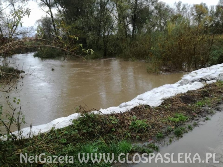 Sirwa wylewa, Wąska przybiera
