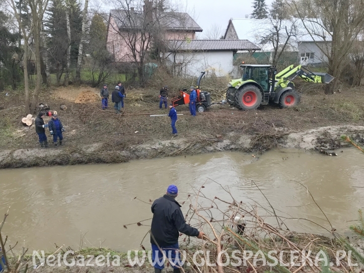 RZGW czyści koryto Wąskiej