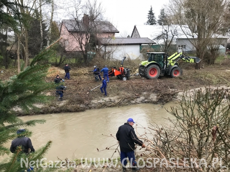 RZGW czyści koryto Wąskiej