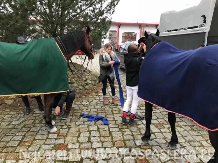 Pierwsze punkty w mistrzostwach W –M