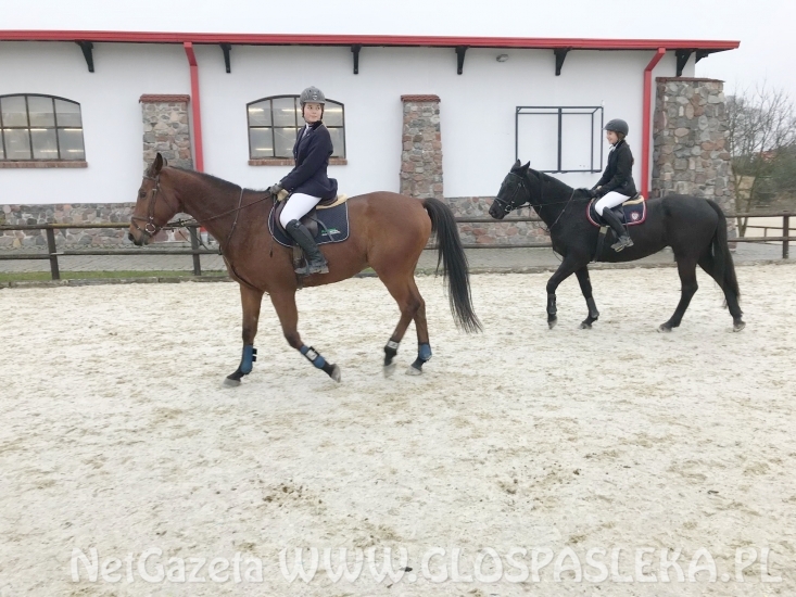 Pierwsze punkty w mistrzostwach W –M