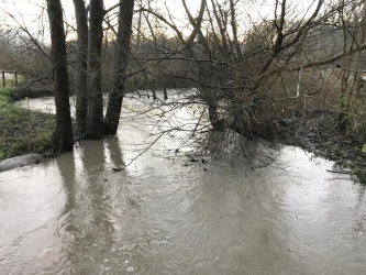 Przekroczone stany alarmowe