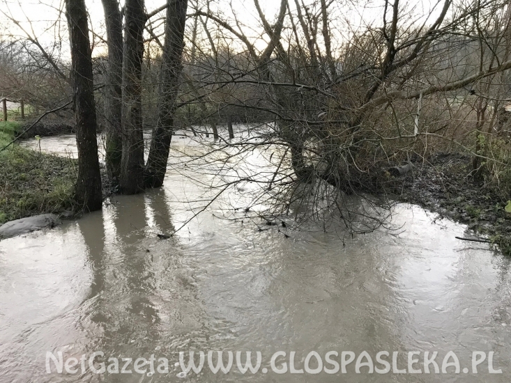 Przekroczone stany alarmowe