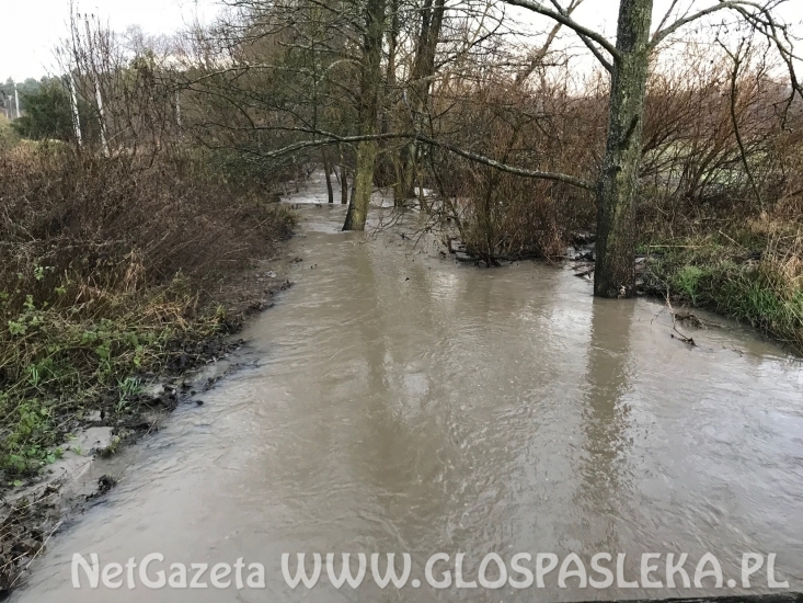 Przekroczone stany alarmowe