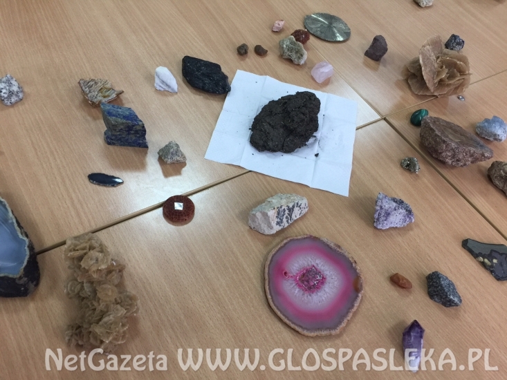 Z ZSEiT po skarby ziemi