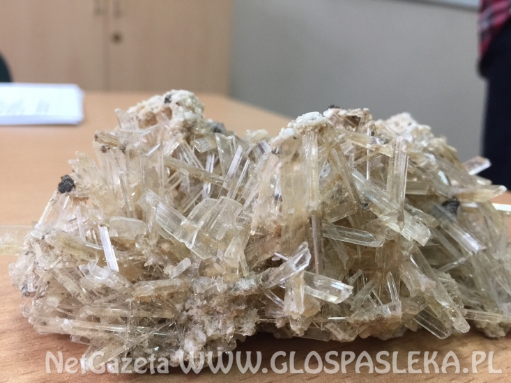 Z ZSEiT po skarby ziemi