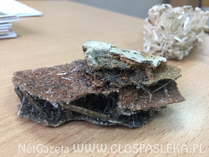 Z ZSEiT po skarby ziemi