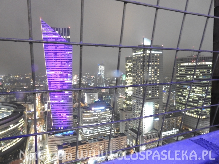 Uczniowie SP nr 1 w projekcie CEMS Chance