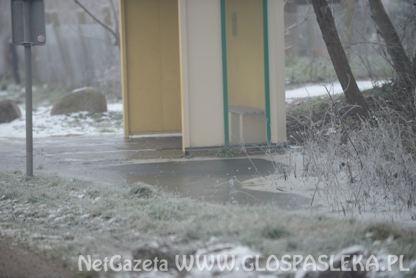 Prośba o interwencję