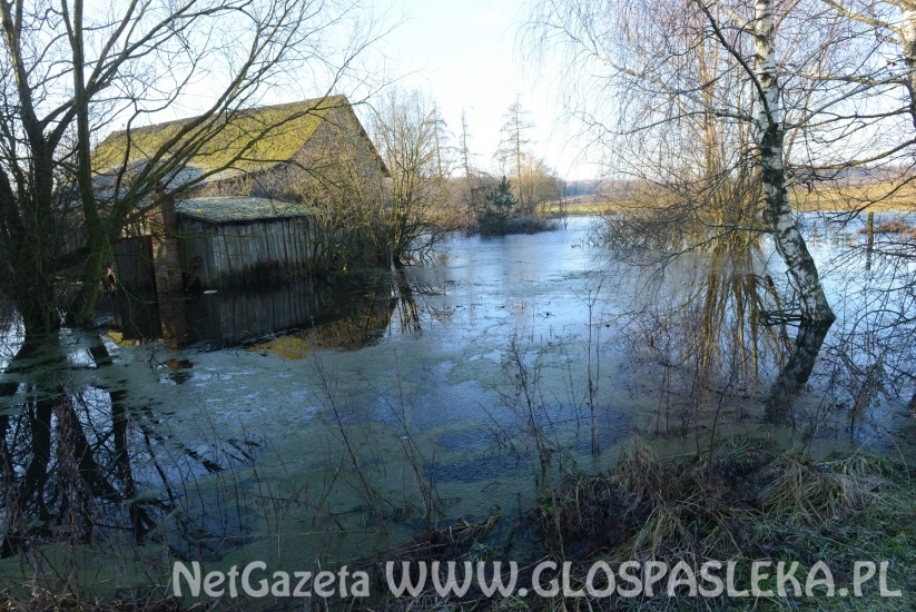 Kronin – kłopoty z nadmiarem wody