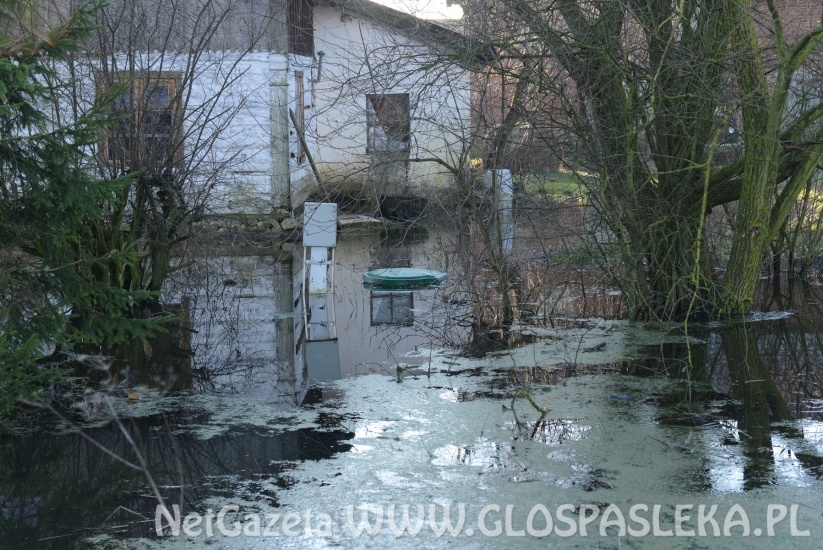 Kronin – kłopoty z nadmiarem wody