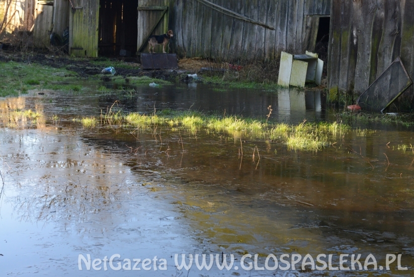 Kronin – kłopoty z nadmiarem wody