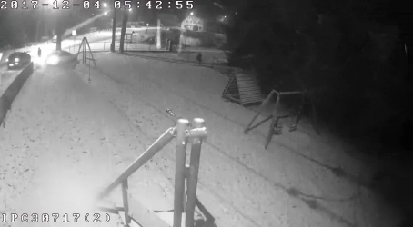 Szukamy świadków zdarzenia