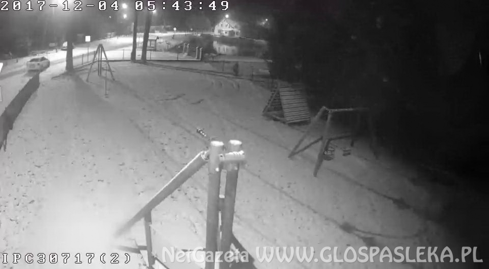 Szukamy świadków zdarzenia