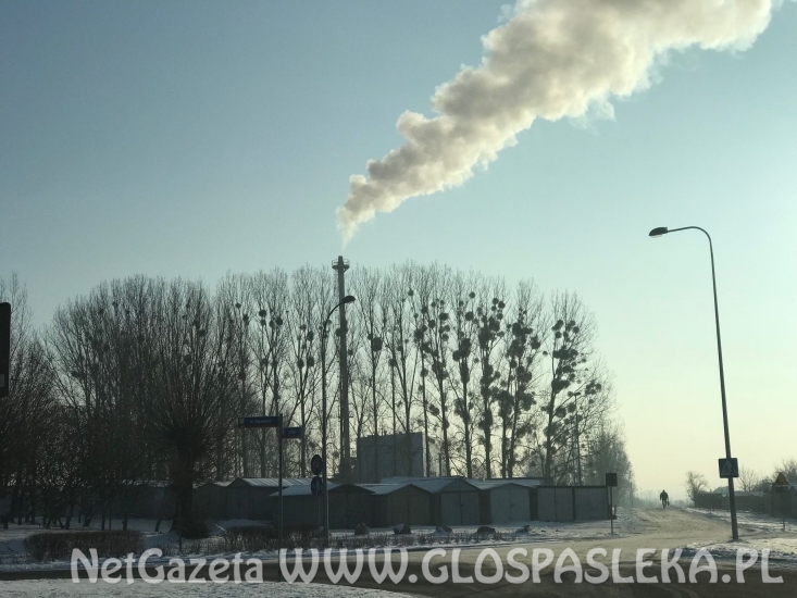 Veolia chce inwestować