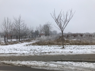 Cicha – sprostowanie