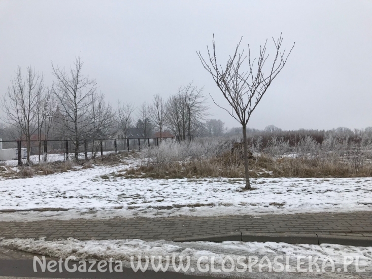 Cicha – sprostowanie