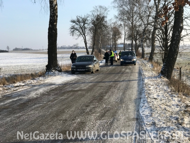 Wypadek w gm. WIlczęta