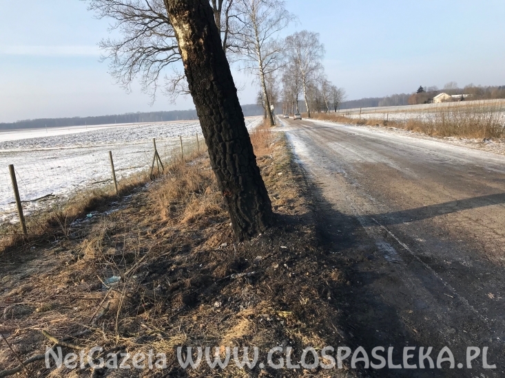 Wypadek w gm. WIlczęta