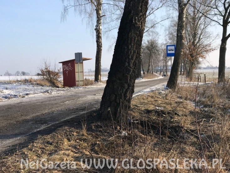 Wypadek w gm. WIlczęta