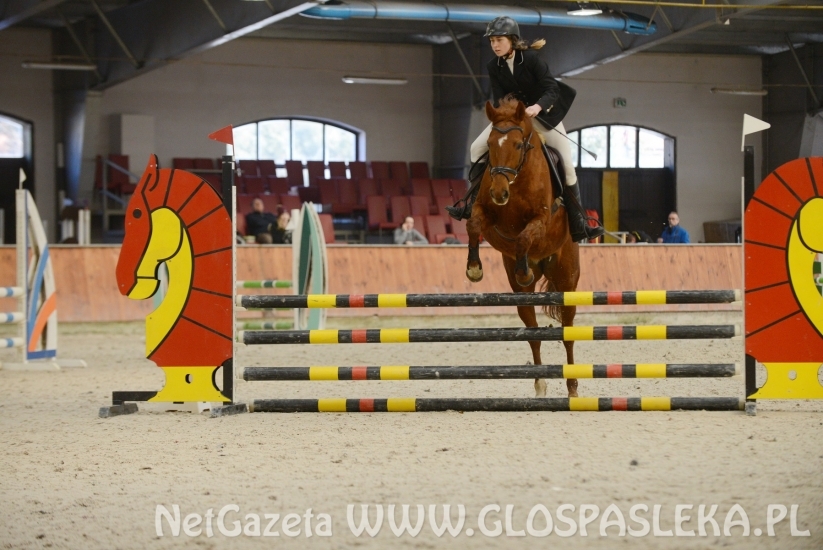 Dąbrówka marzec 2018