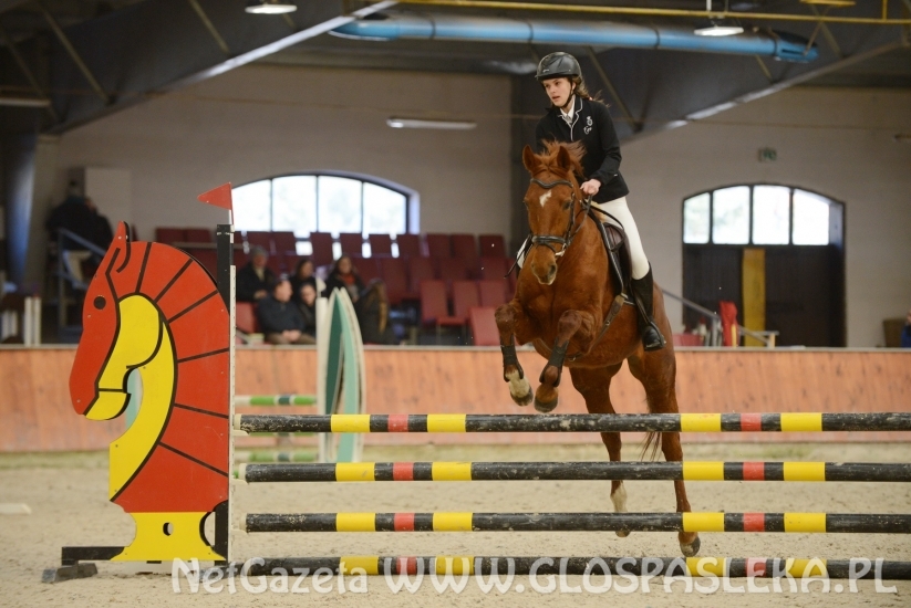 Dąbrówka marzec 2018