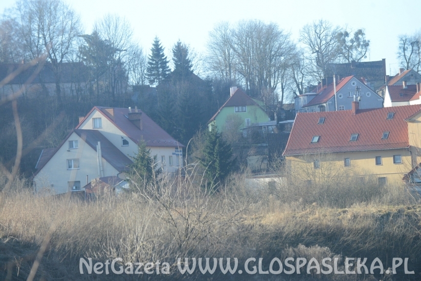 Tragiczny pożar na Steffena