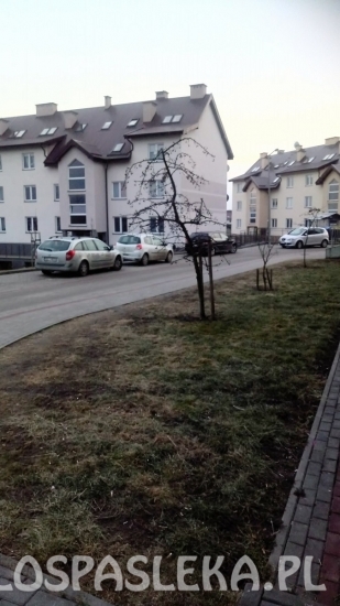 List - Parkowanie na Słonecznej