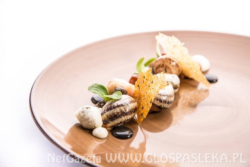 Ślimaki na talerzu - Mistrzostwa Polski