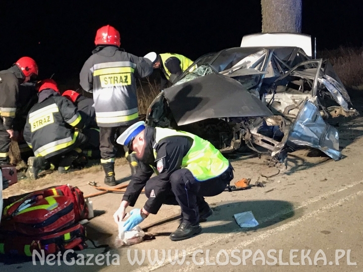 Śmiertelny wypadek za Rogajnami (07.04.2018r.)