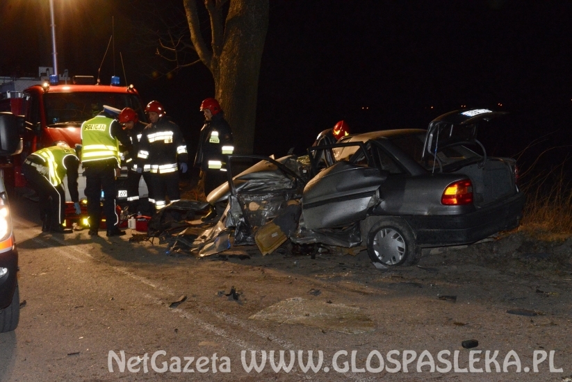 Śmiertelny wypadek za Rogajnami (07.04.2018r.)