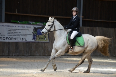 W Januszewie towarzysko