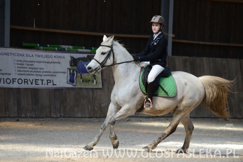 W Januszewie towarzysko