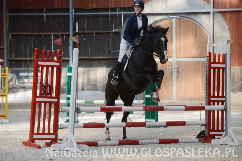 W Januszewie towarzysko