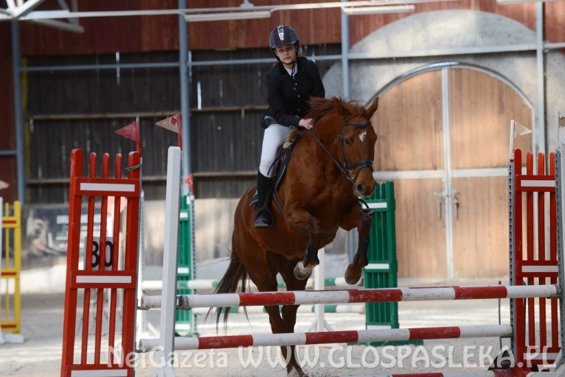 W Januszewie towarzysko