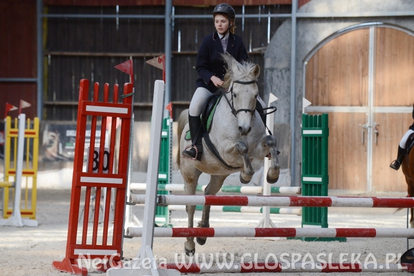 W Januszewie towarzysko