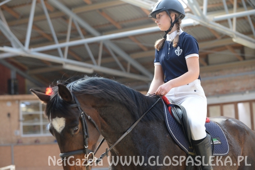 W Januszewie towarzysko