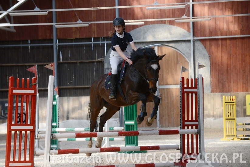 W Januszewie towarzysko