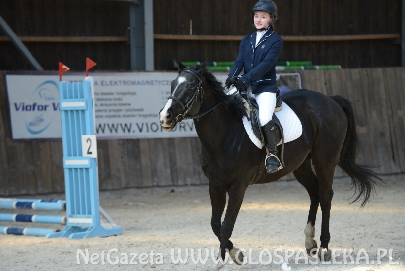 W Januszewie towarzysko