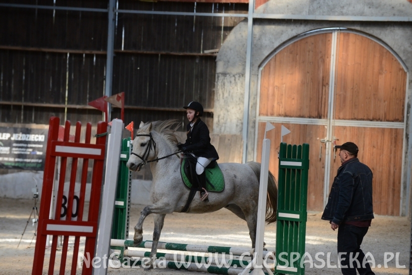 W Januszewie towarzysko