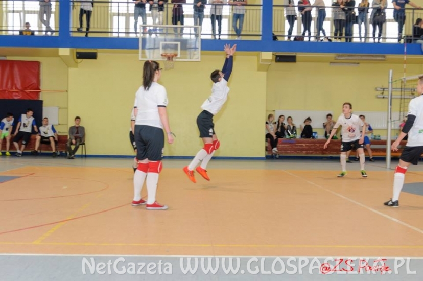 ZS międzyszkolny turniej piłki siatkowej